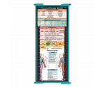 WhiteCoat Clipboard® Trifold - Teal Physical Therapy Edition